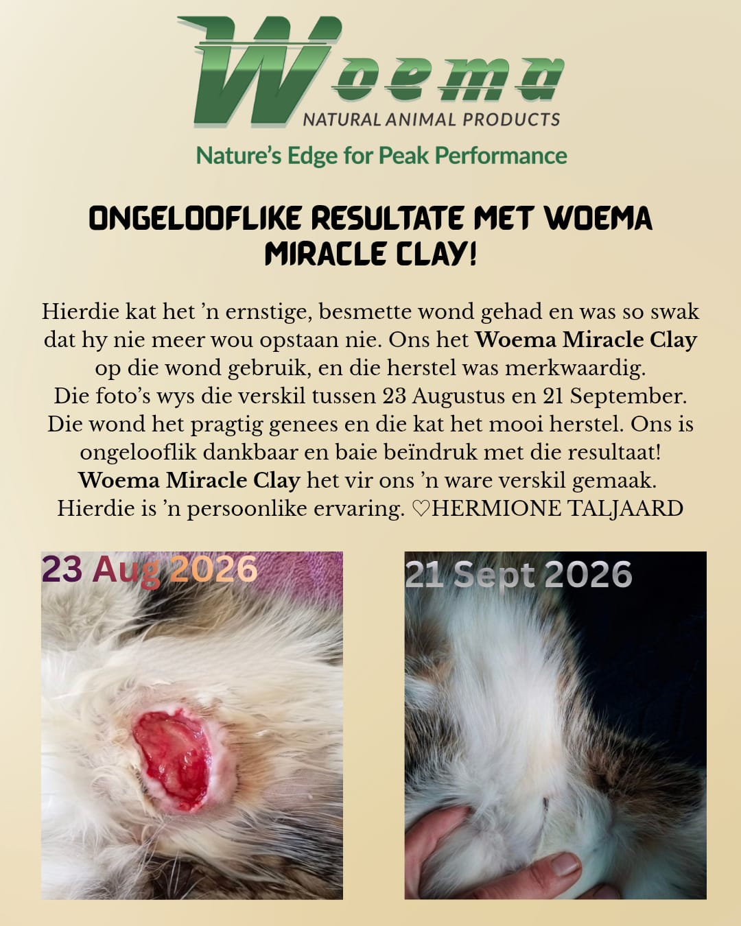 Customer review by Hermione Taljaard: a cat's infected wound on 23 August 2026 fully healed by 21 September 2026 after using WOEMA Miracle Clay